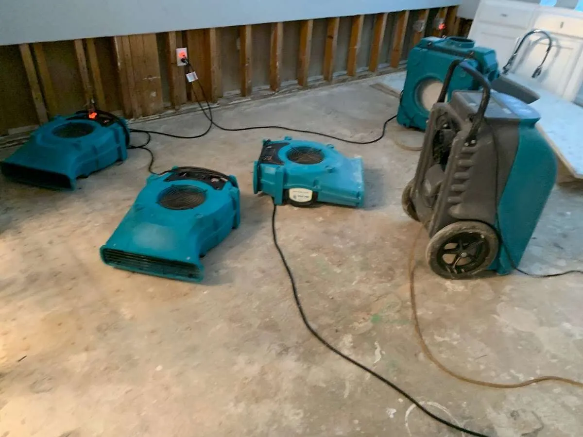 Mold Remediation & Removal in Grosse Pointe Woods, MI